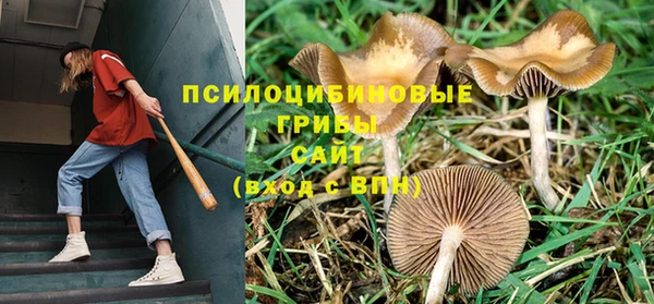 гашиш Арсеньев