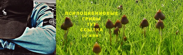 гашиш Арсеньев